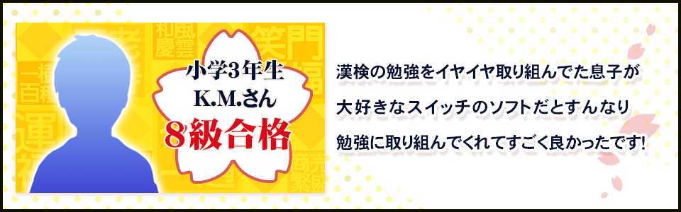 漢検の勉強をイヤイヤ取り組んでた息子が大好きなスイッチのソフトだとすんなり勉強に取り組んでくれてすごく良かったです！